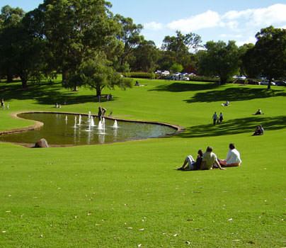 Sydney Lawn & Turf Supplies - Instant Lawn Solutions