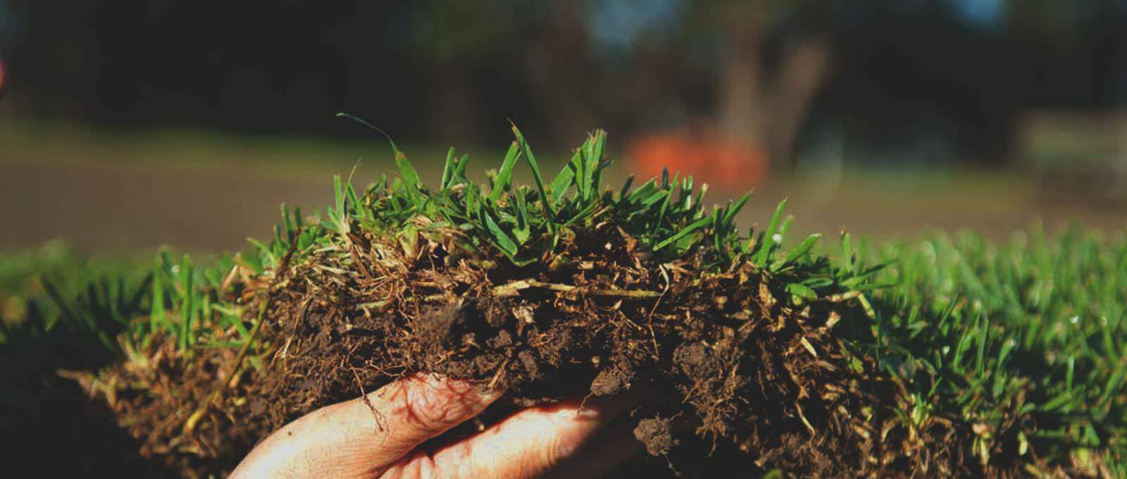 Sydney Lawn & Turf Supplies Instant Lawn Solutions