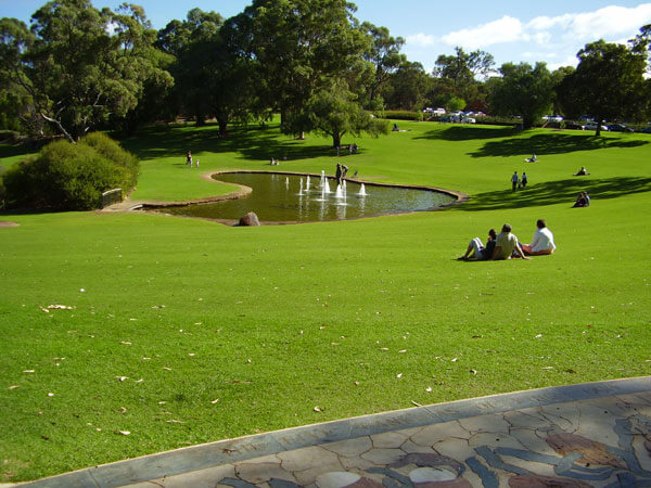 Turf Photo Gallery | Sydney Lawn & Turf Supplies