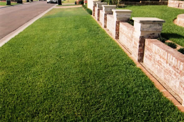 Turf for Home