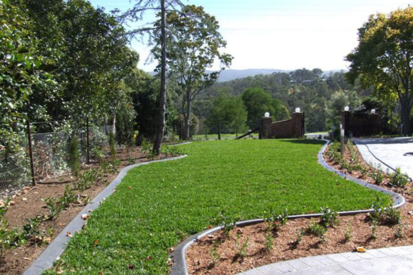Turf for Home