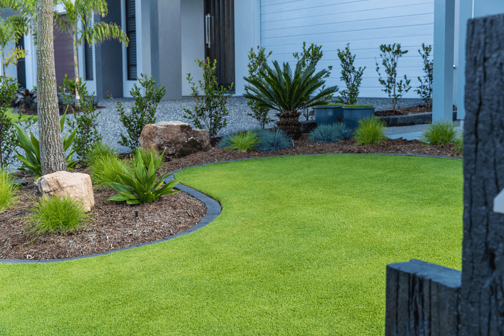 TifTuf Bermuda Grass