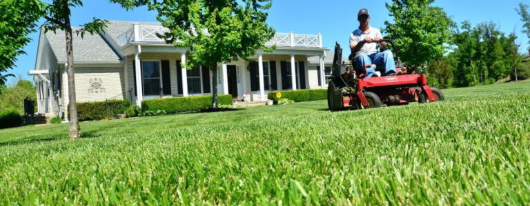 Natural turf maintenance