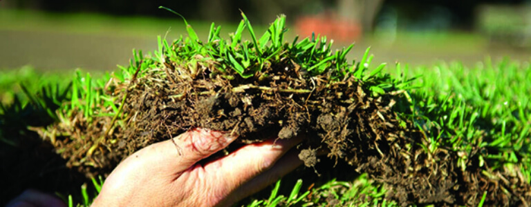 Turf supplies