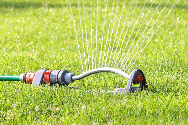 Turf Care 2