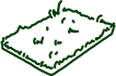 7. Turf Diseases