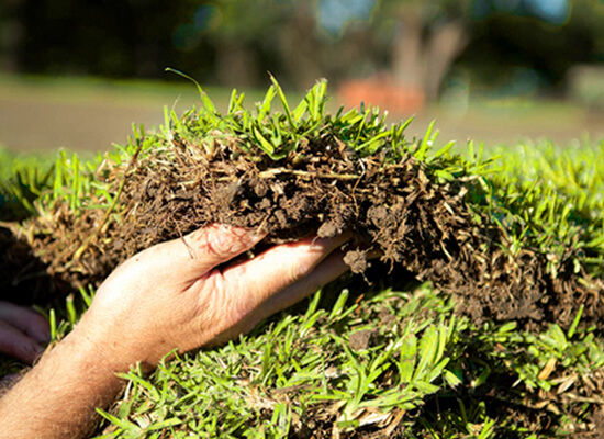 Turf Delivery 2