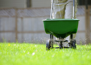 Fertilising Your Turf | Sydney Lawn & Turf Supplies