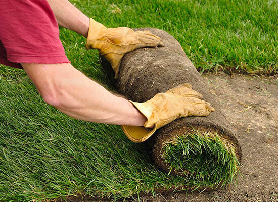 Turf Installation 2