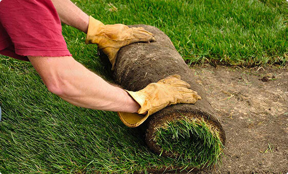Turf installation