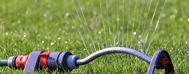 When should I water my lawn in summer?