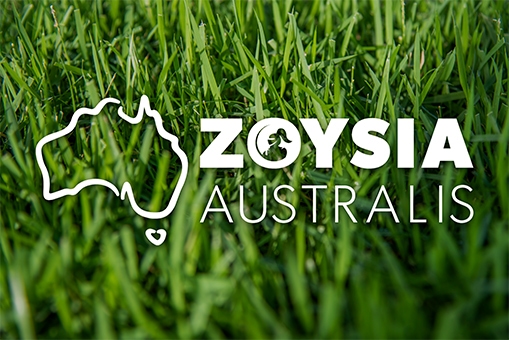Zoysia Australis Turf Zoysia Australis Turf