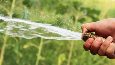 When should you water your lawn? When should you water your lawn?